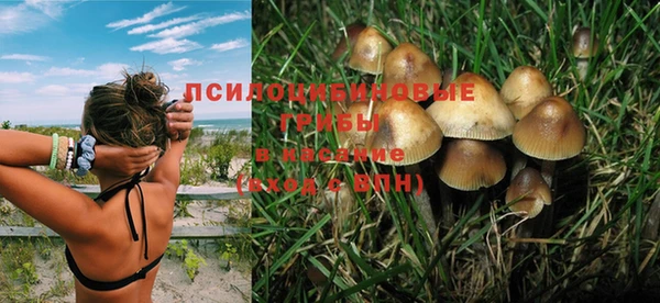 ешки Абинск