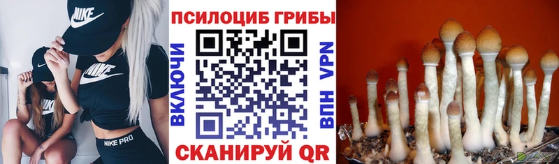 Галлюциногенные грибы мицелий  Сольвычегодск 